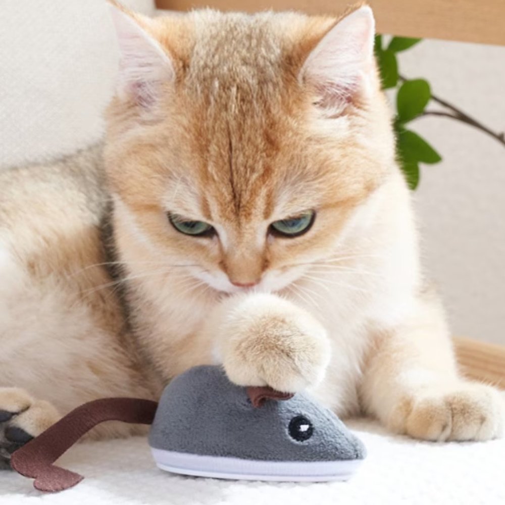 Cat Toy for Enrichment - Interactive Running Mouse Toy (1 Piece), Cat Teaser Toy